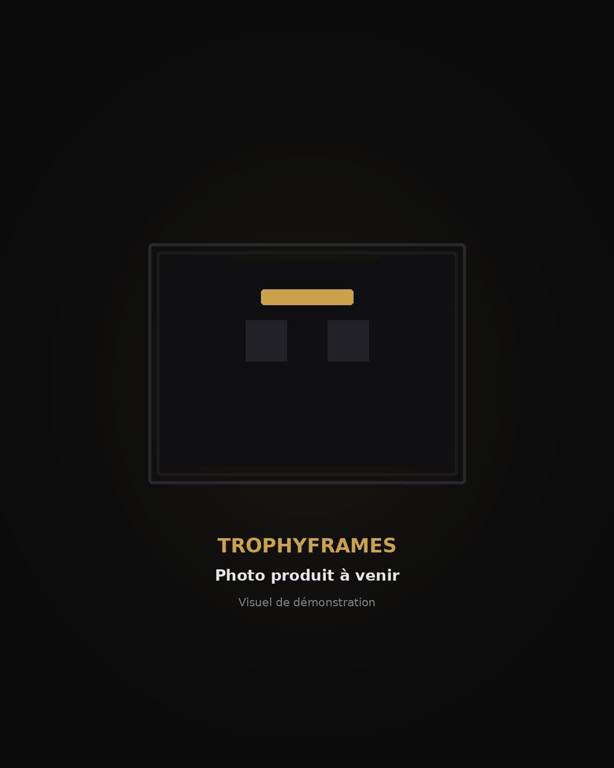 Cadre TrophyFrames en situation